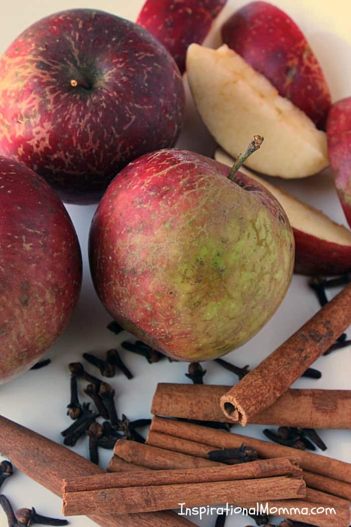 Hot Apple Cider-The amazing blend of cinnamon, cloves, and brown sugar creates the perfect cider to satisfy everyone! #InspirationalMomma #HotAppleCider #AppleCider #Apple #Cider 