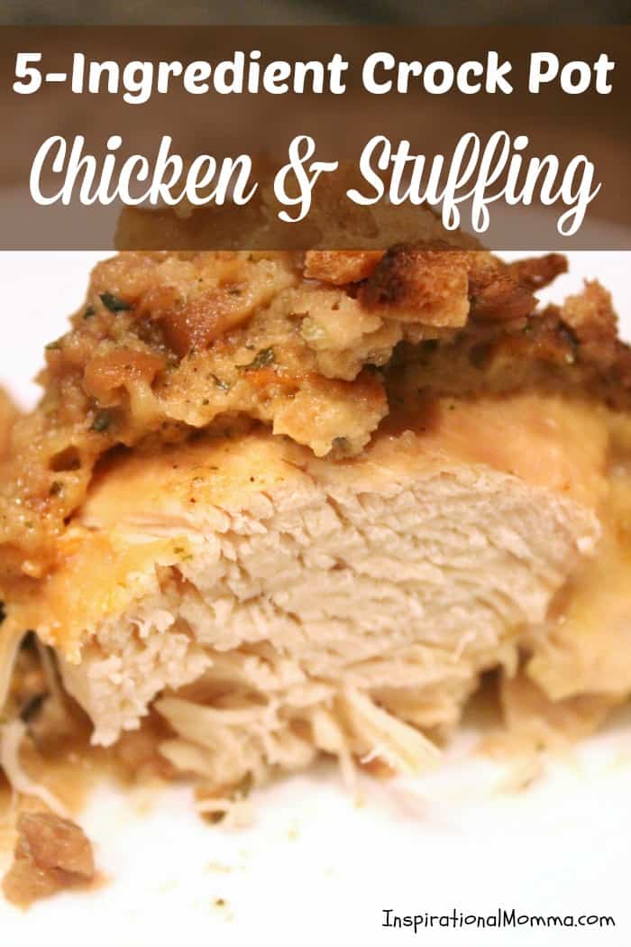 Simple and delicious, this 5-Ingredient Crock Pot Chicken & Stuffing will become a favorite for everyone in your family. And did I mention, it is SO easy??