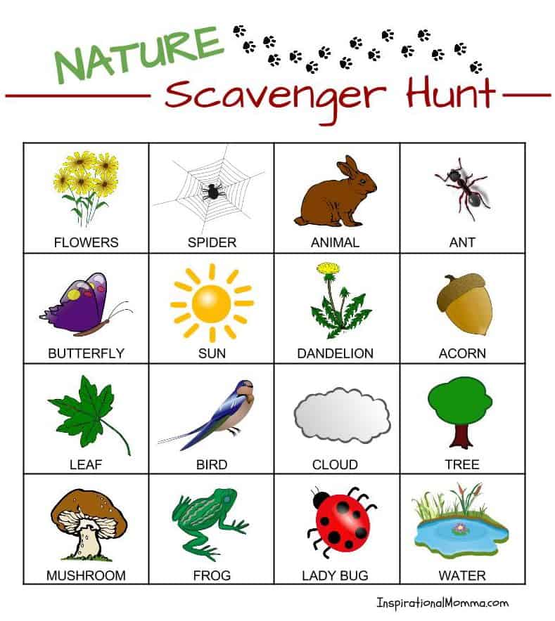 Its time for a Nature Scavenger Hunt. While searching for objects and critters, you will smile, giggle, and make many memories! #CelebrateAmazingDads