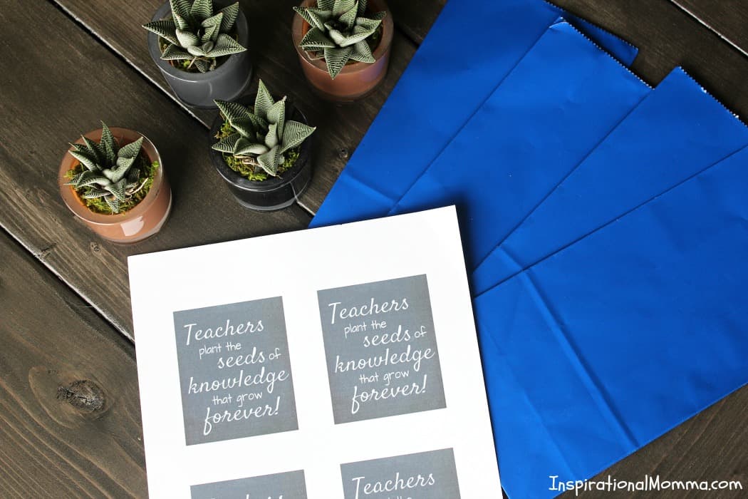 This Teacher Appreciation Printable is the perfect way to show just how much you appreciate the educator that influences your child every day!