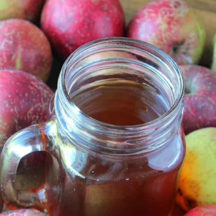 Hot Apple Cider