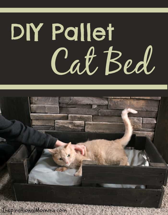 DIY Pallet Cat Bed