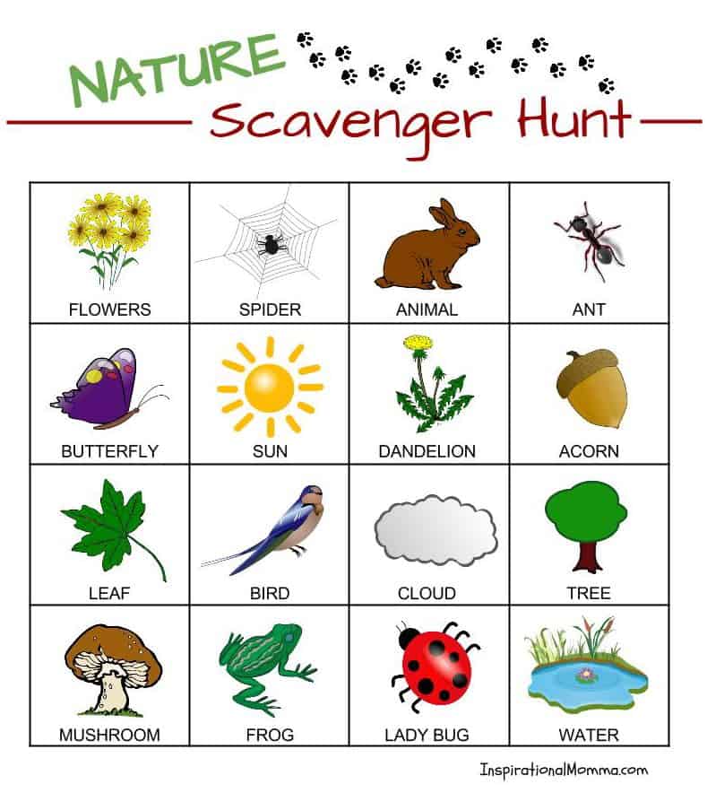 nature-scavenger-hunt