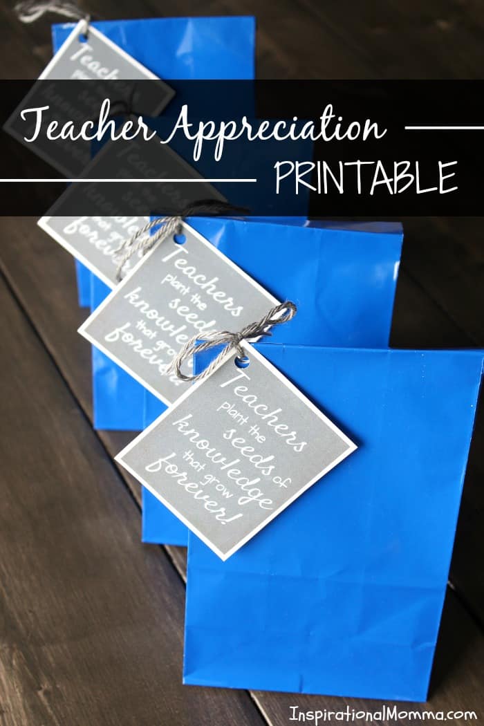 This Teacher Appreciation Printable is the perfect way to show just how much you appreciate the educator that influences your child every day!