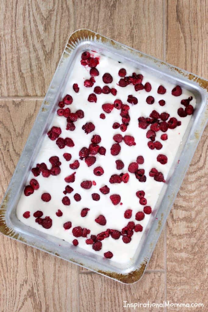 Frozen Raspberry Yogurt Bites