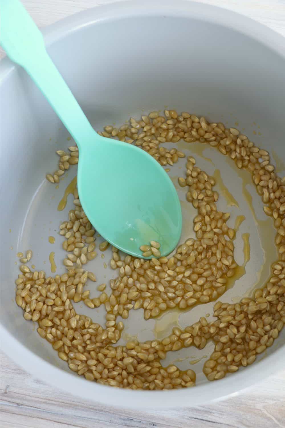 Popcorn seeds and oil in an instant pot.