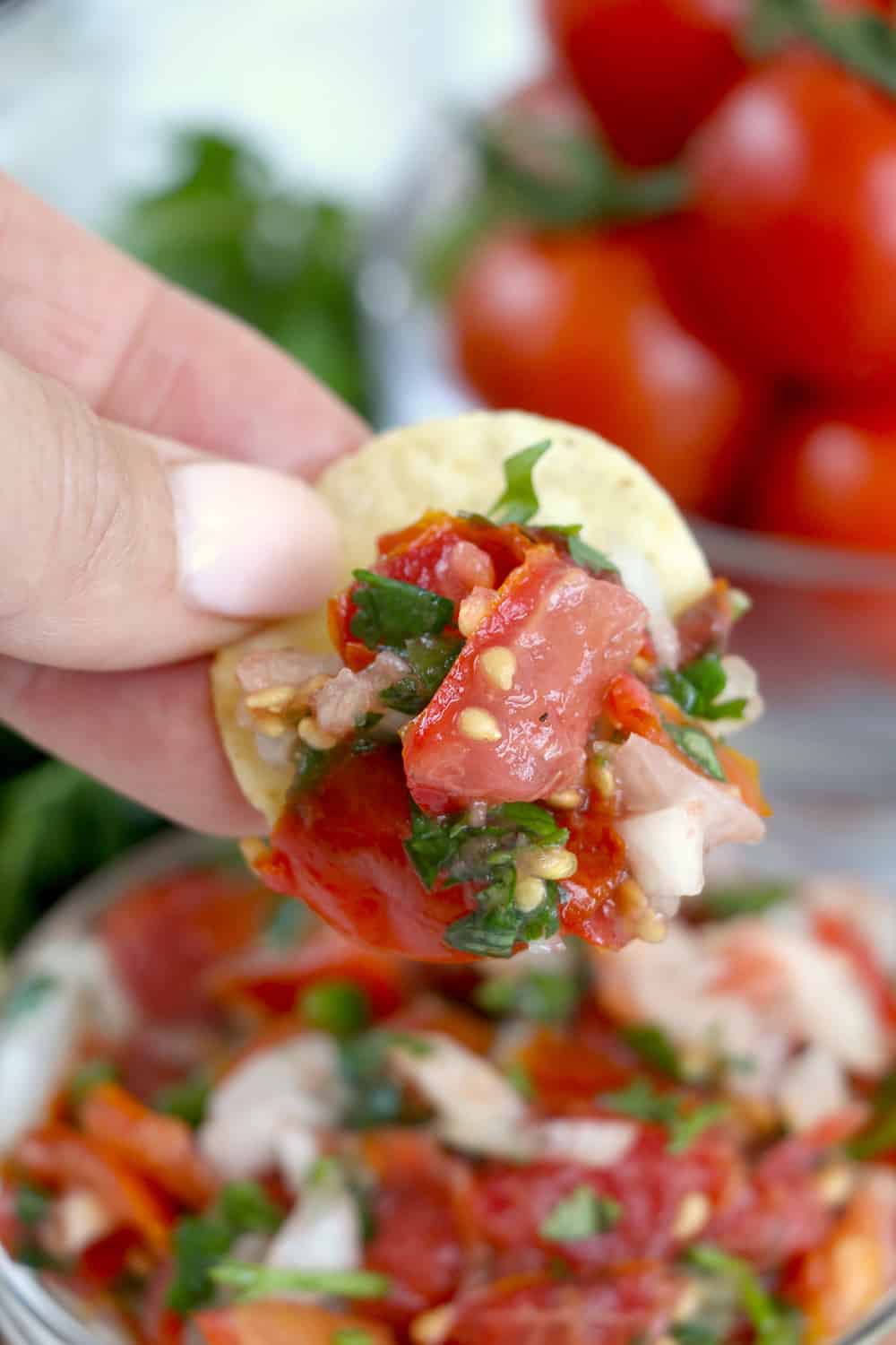 Fresh homemade salsa loaded on a round tortilla chip