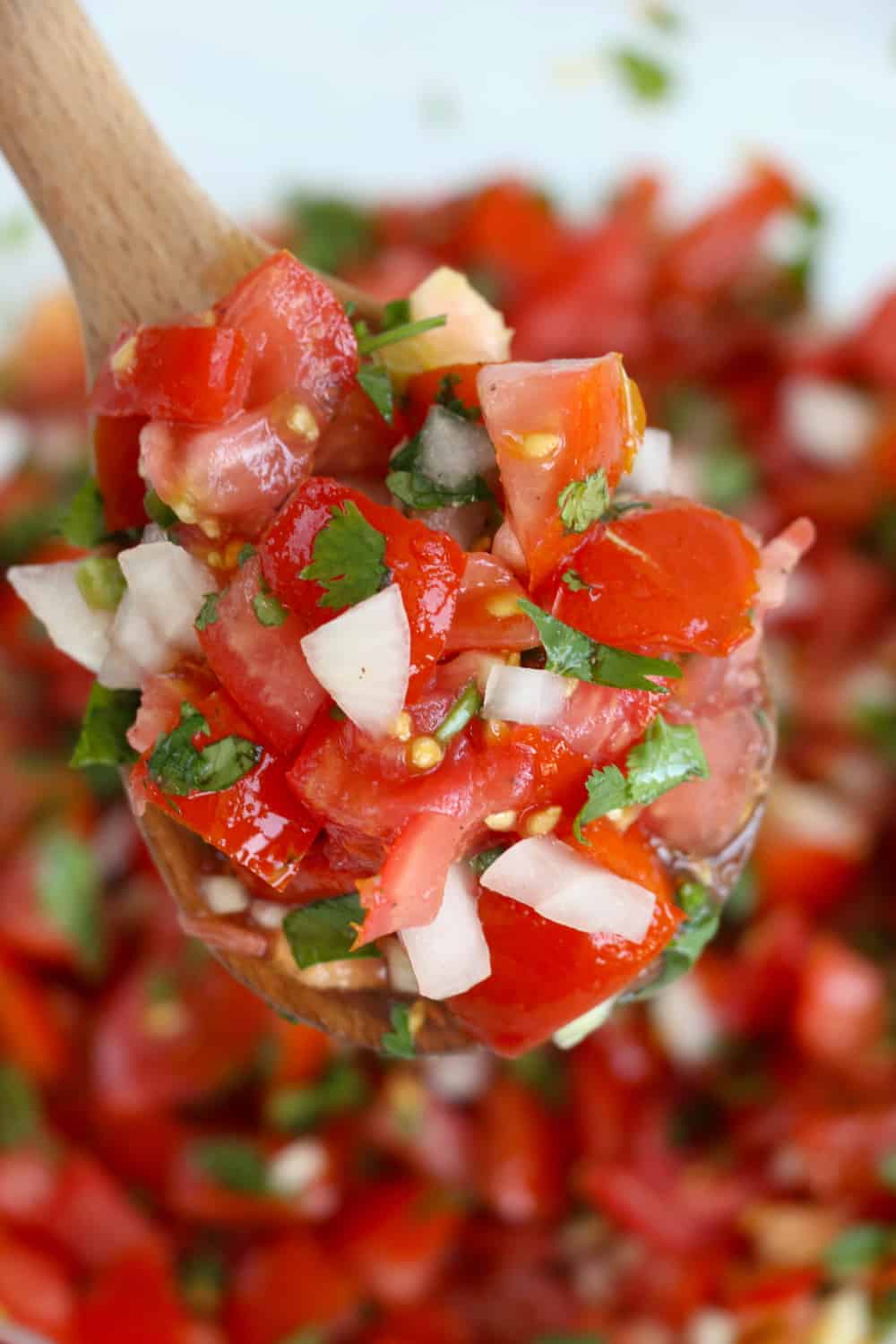 Homemade salsa with fresh tomatoes