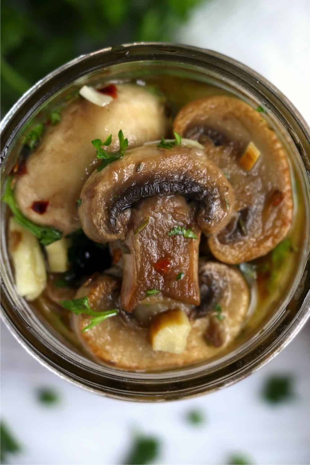 marinated mushrooms canned