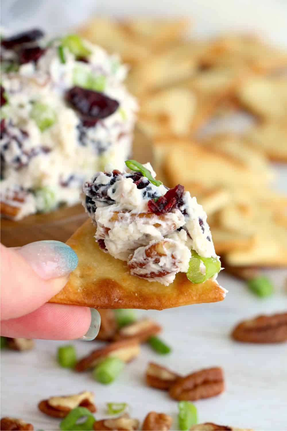 A delicious-looking scoop of cranberry pecan cheese ball dip loaded on a triangle cracker