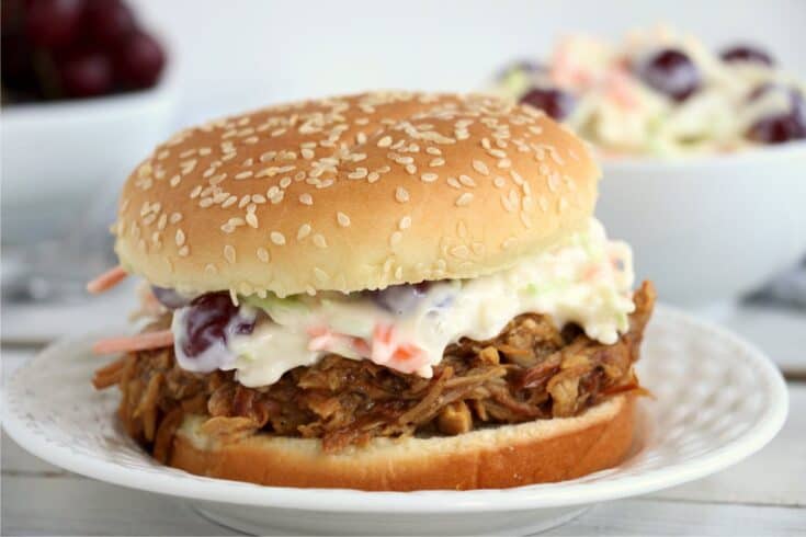 Crock Pot BBQ Pulled Pork - Easy and Delicious