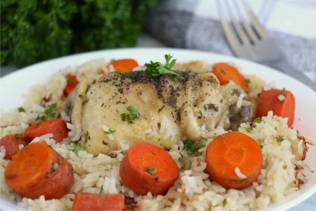 A close-up photo of Instant Pot Frozen Chicken and Rice