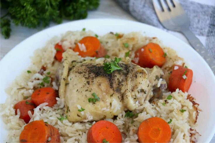 Instant Pot Frozen Chicken and Rice