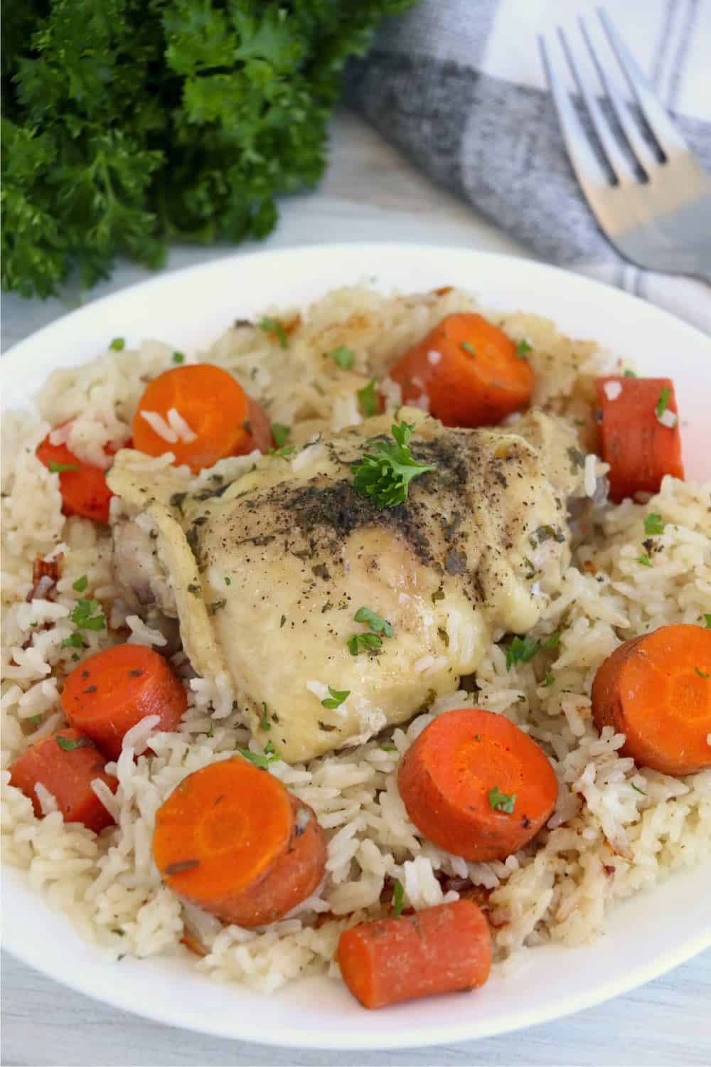Instant Pot Frozen Chicken and Rice 9 copy Inspirational Momma