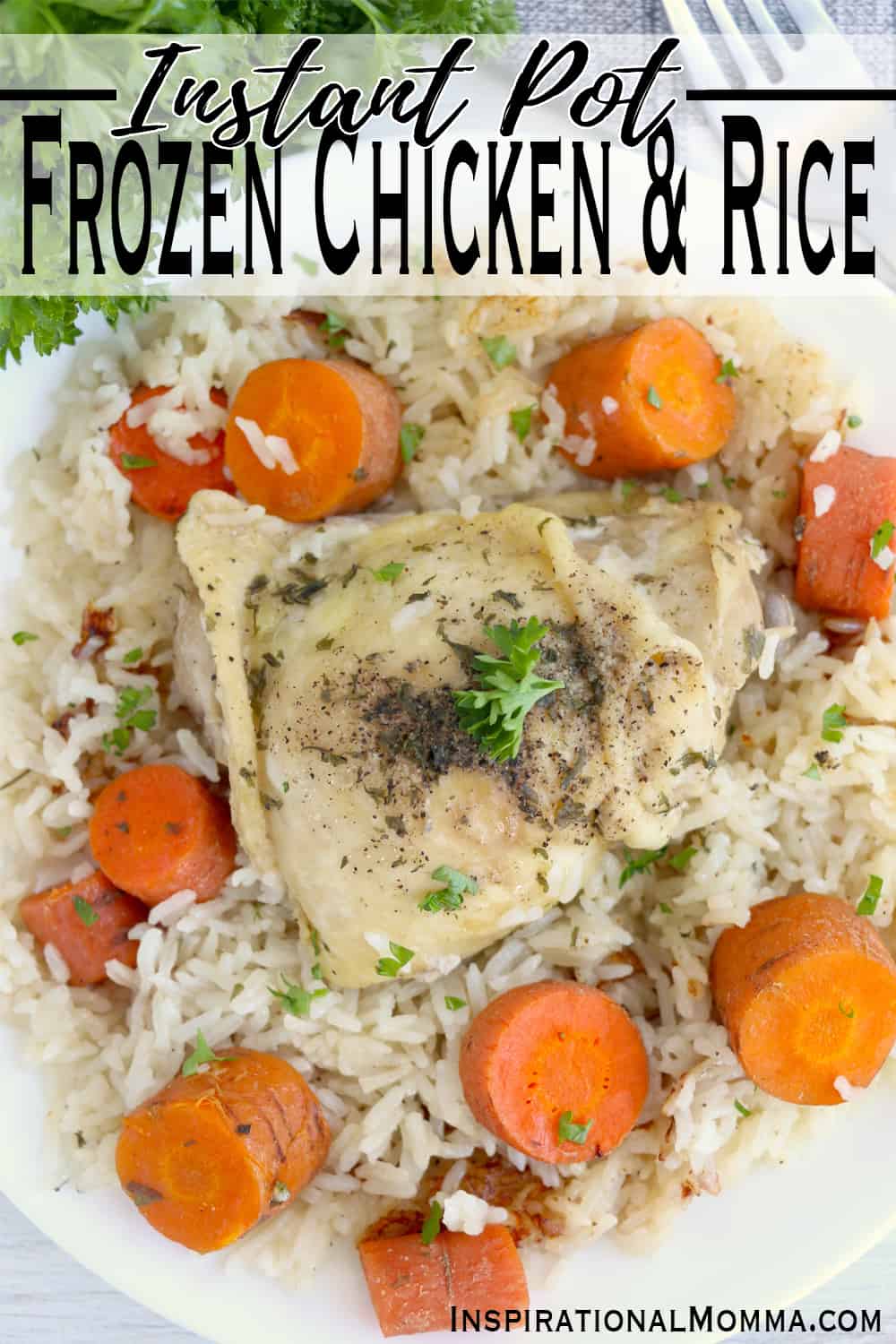 Instant Pot Chicken and Rice