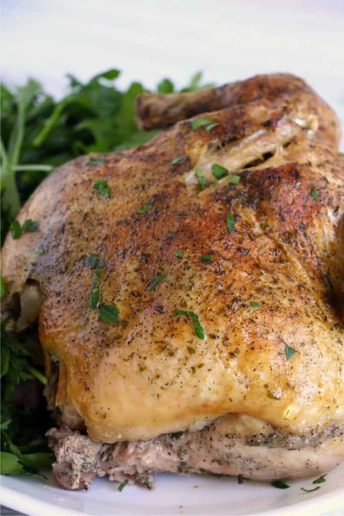 Ninja Foodi Chicken - Recipes - Inspirational Momma