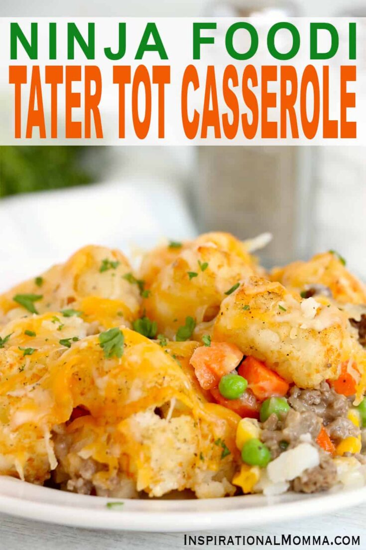 NINJA FOODI 8QT, HOW TO MAKE SLOW COOKER TATER TOT CASSEROLE, MY GADGET  KITCHEN