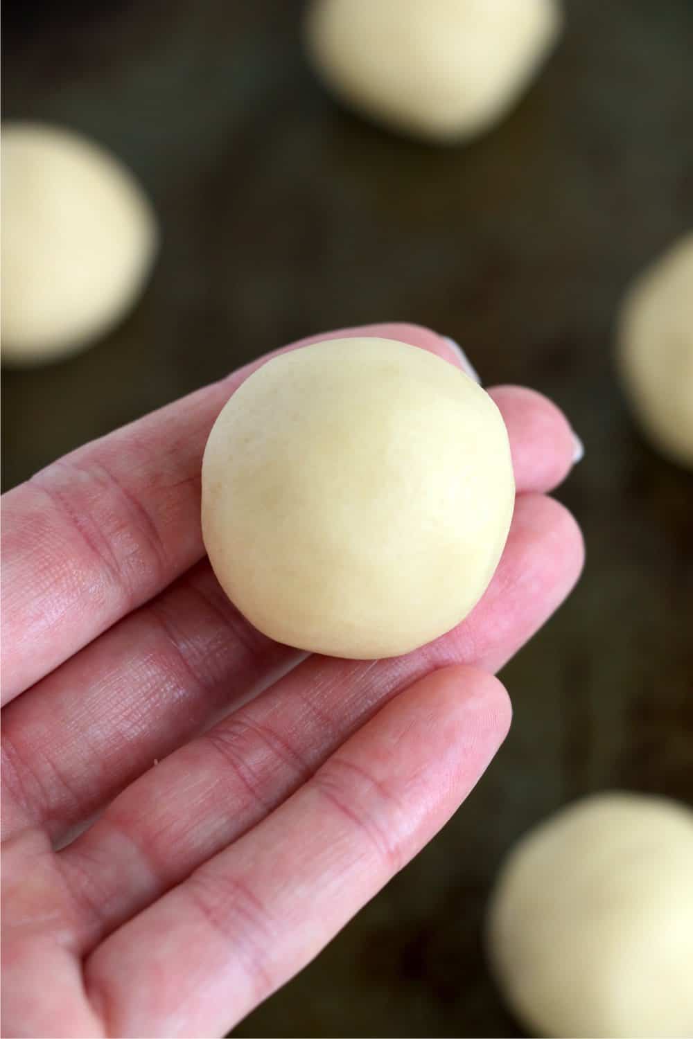 Closeup shot of hand holding sugar cookie dough ball