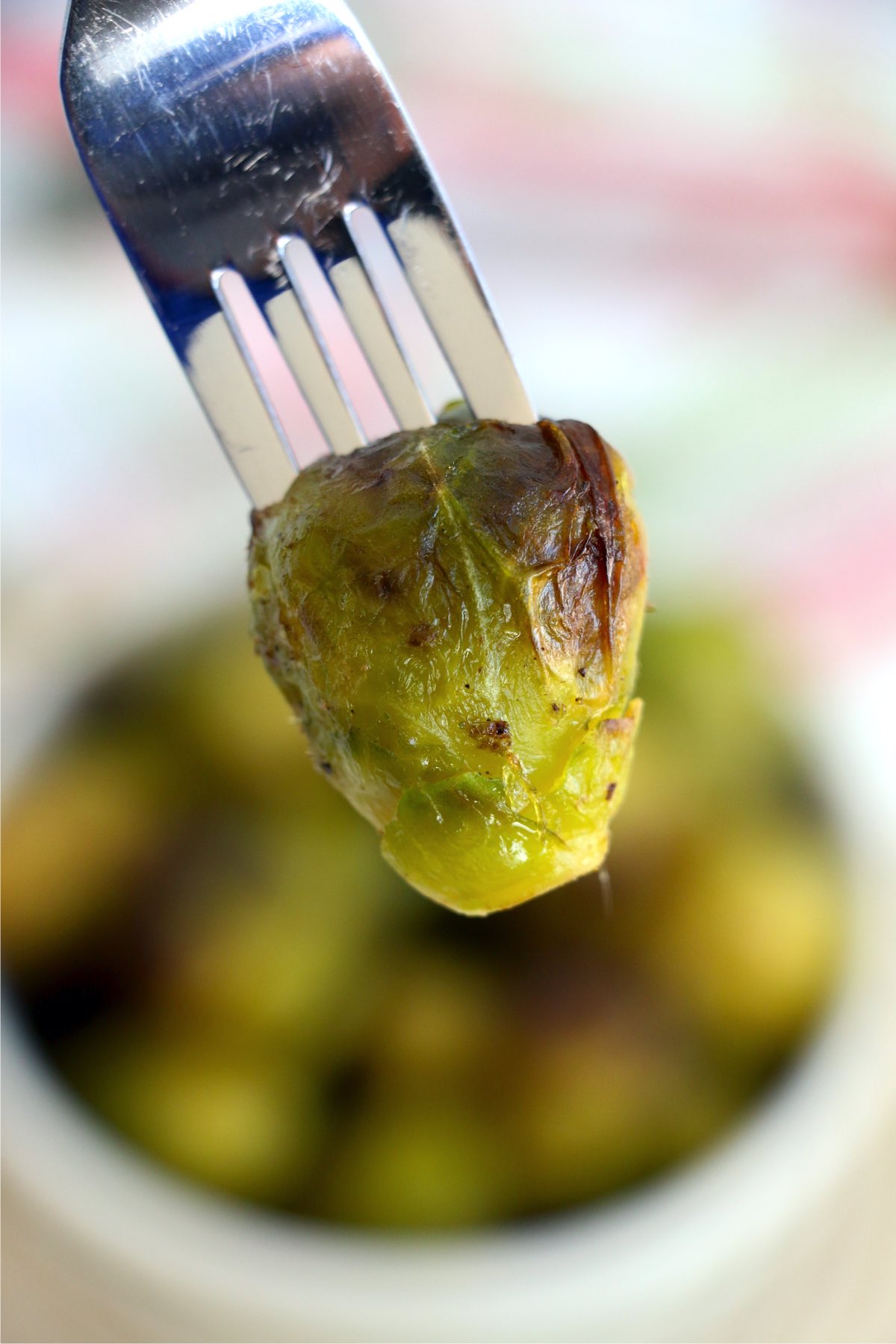 Closeup shot of fork with cooked brussel sprout