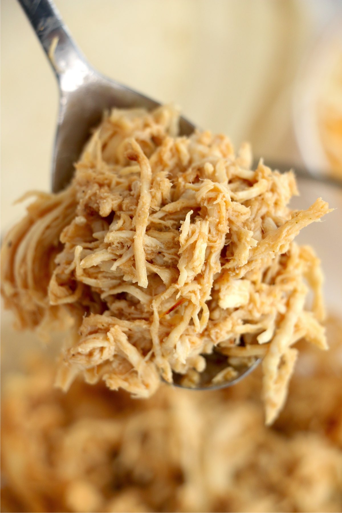 Closeup shot of spoonful of shredded chicken
