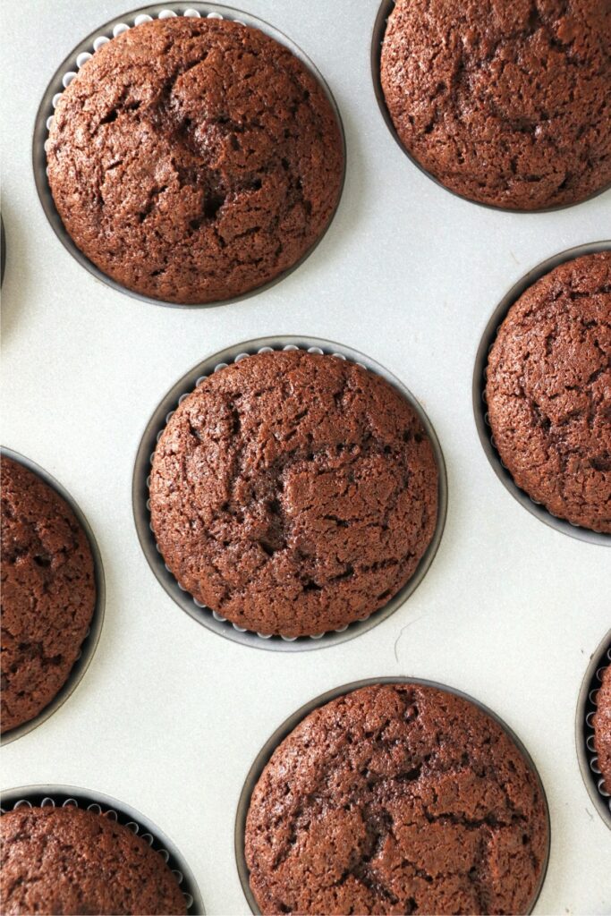 Overhead shot of chocolate cupcakes in cupcake tin