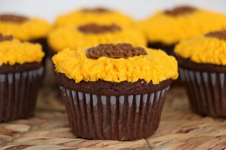 Chocolate Sunflower Cupcakes