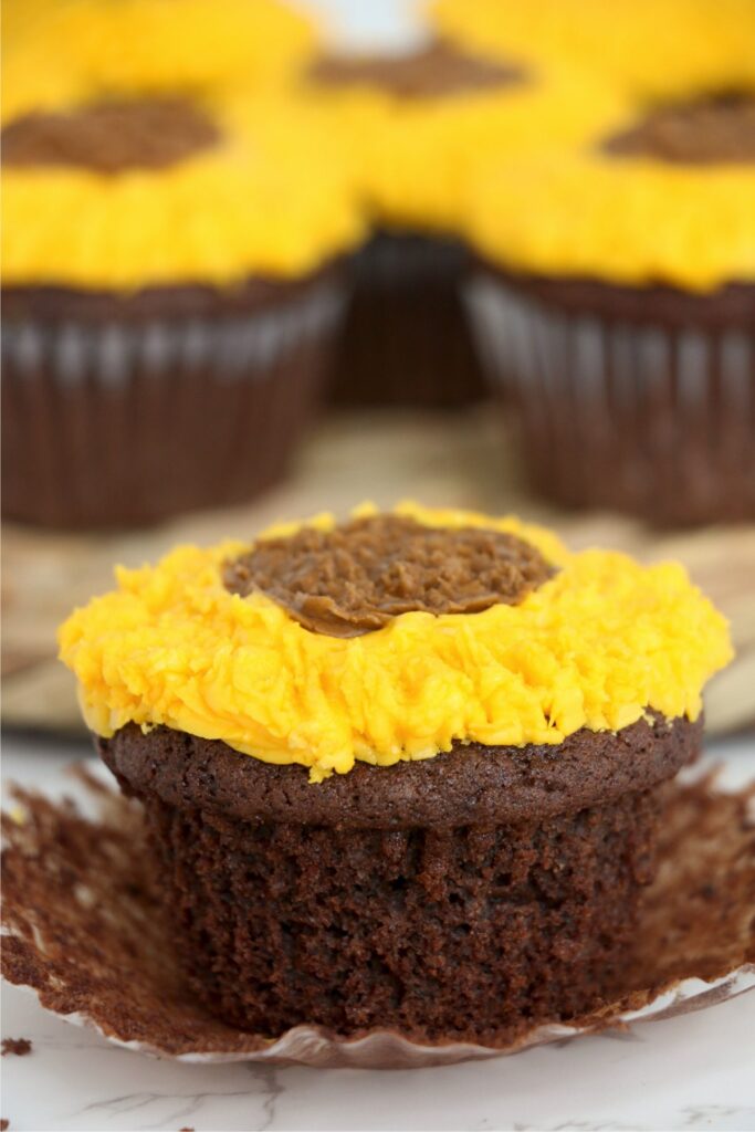  Closeup shot of chocolate sunflower cupcake