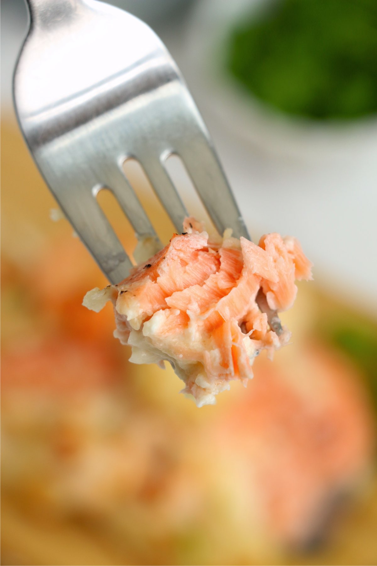Closeup shot of forkful of salmon