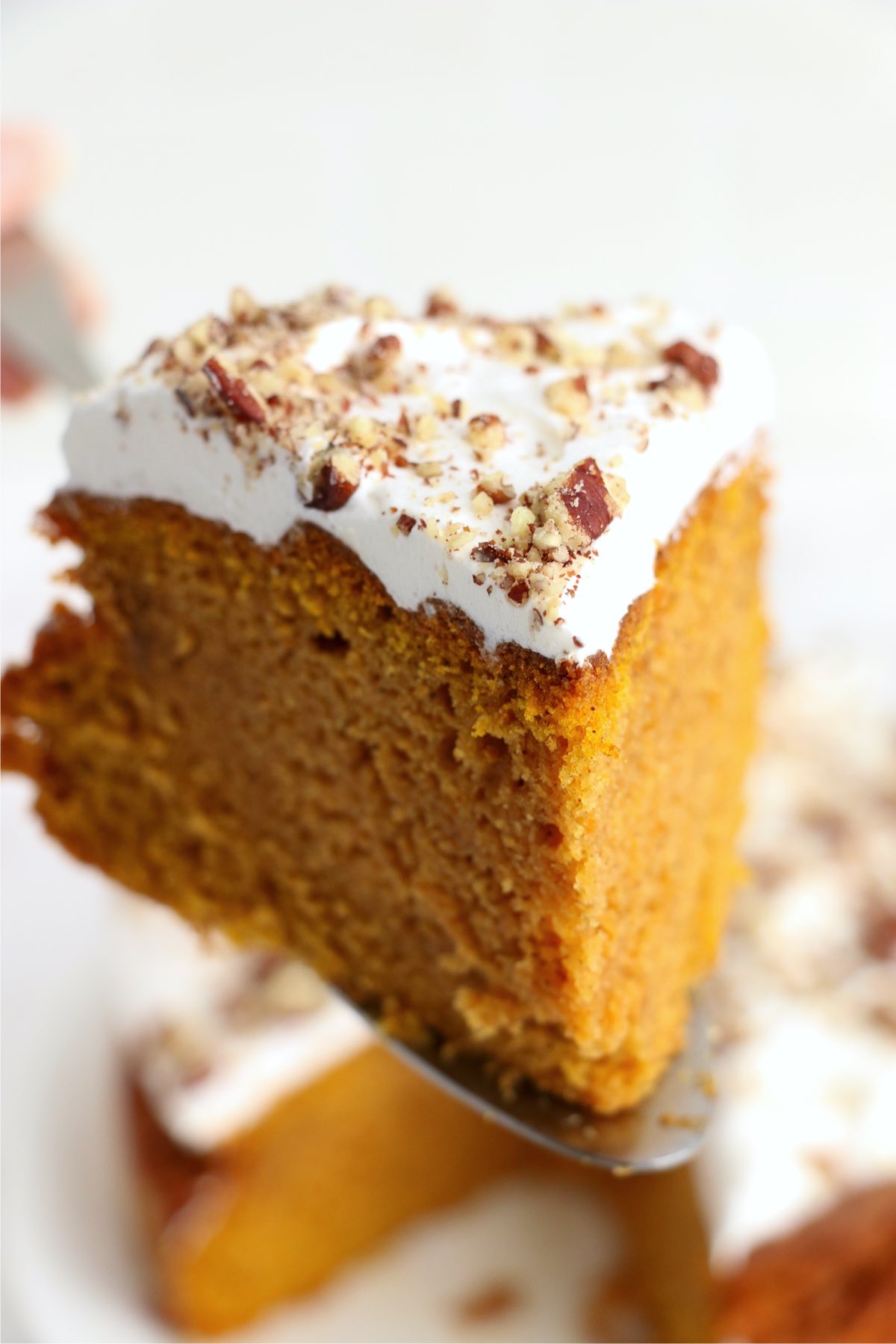 Air Fryer Pumpkin Cake