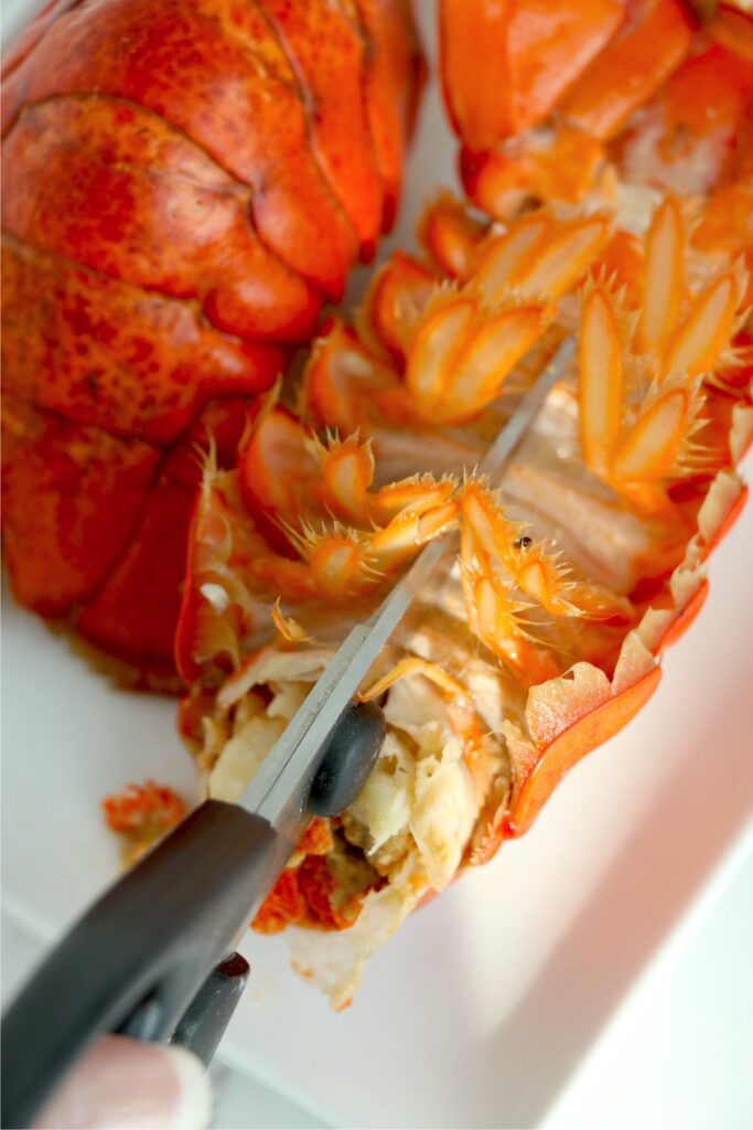 Overhead shot of kitchen shears being used to cut the bottom of lobster tail shell