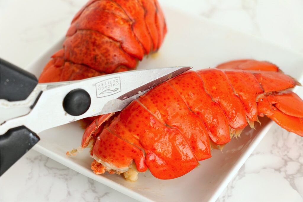Kitchen shears being used to cut the top of lobster tail shell