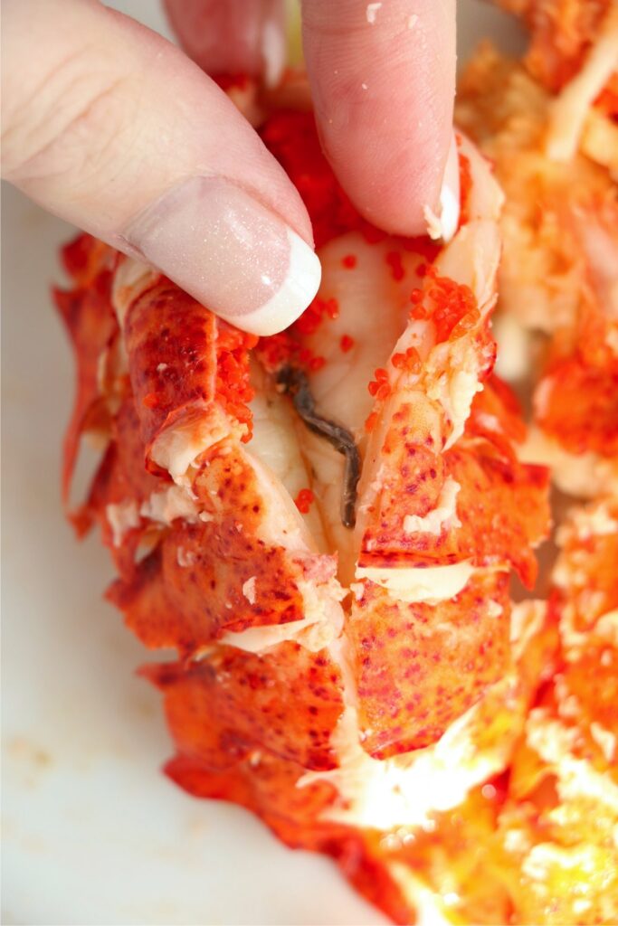 Closeup shot of intestinal vein being removed from the lobster tail