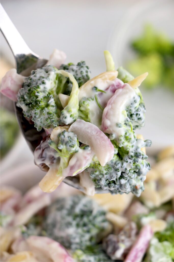 Closeup shot of spoonful of creamy broccoli salad