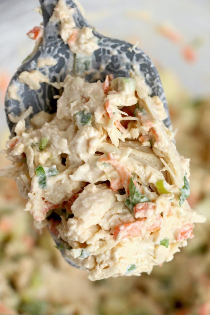 Closeup shot of spoonful of chicken salad