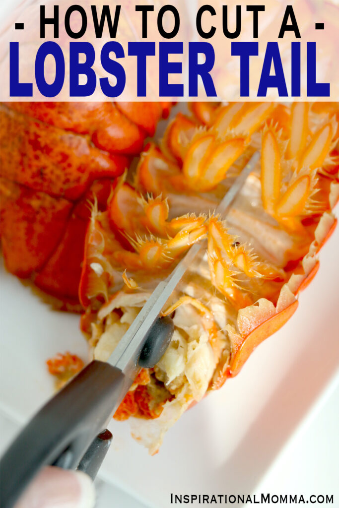 Closeup shot of kitchen shears being used to cut the bottom of a lobster tail