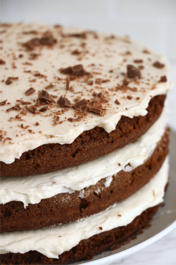 Closeup shot of naked chocolate cake on plate