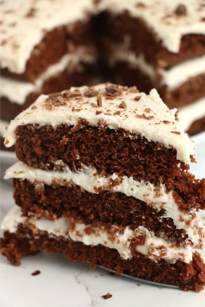 Closeup shot of slice of naked chocolate cake in front of more cake.