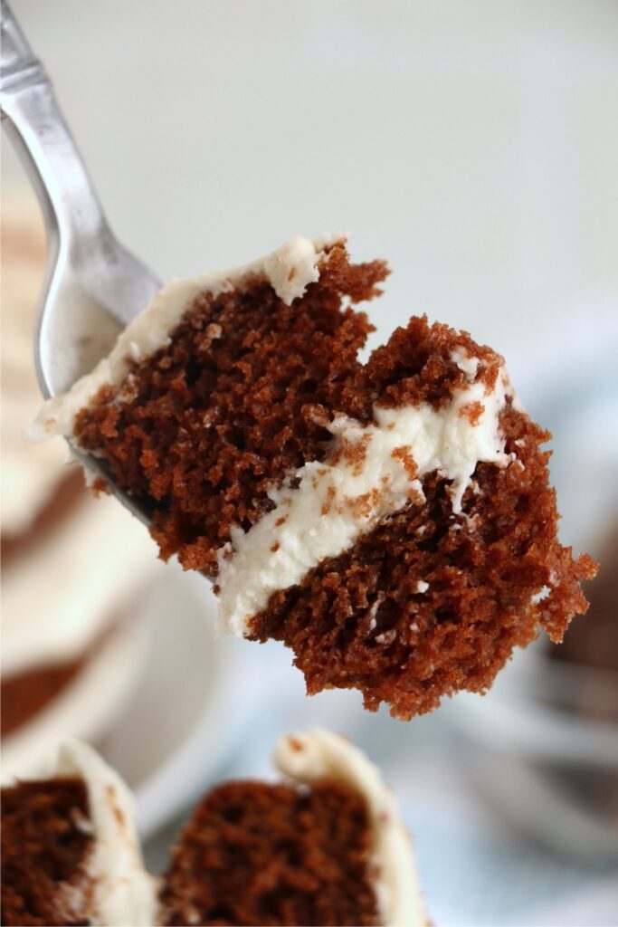 Closeup shot of forkful of naked chocolate cake