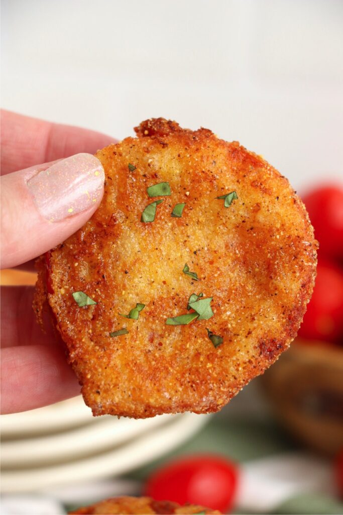 Closeup shot of hand holding a slice of fried red tomato