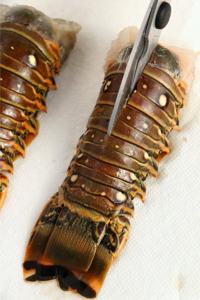Overhead shot of kitchen shears cuting down the back of a lobster tail