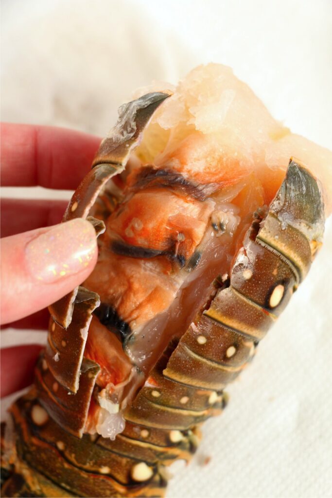 Closeup shot of hand holding lobster tail with the back of the shell cut open