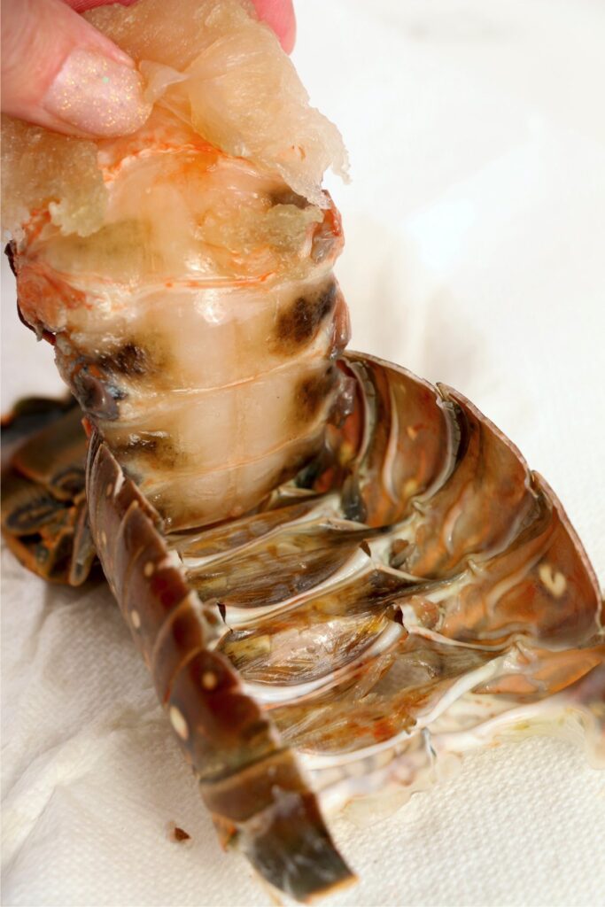 Closeup shot of lobster tail being pulled out of the shell
