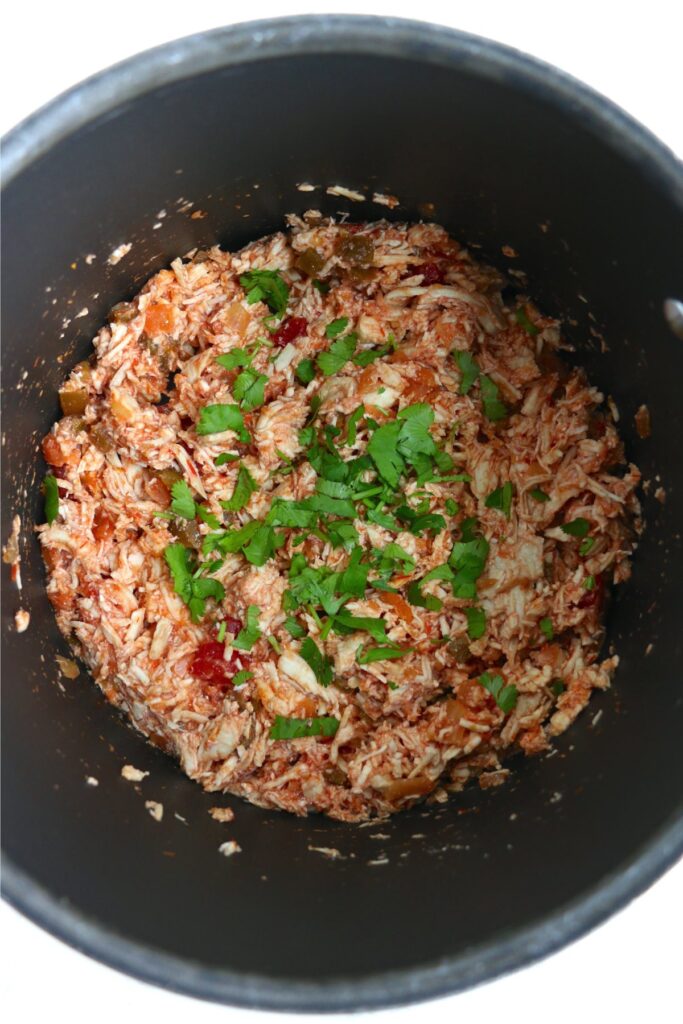 Overhead shot of chicken and salsa mixture in pot