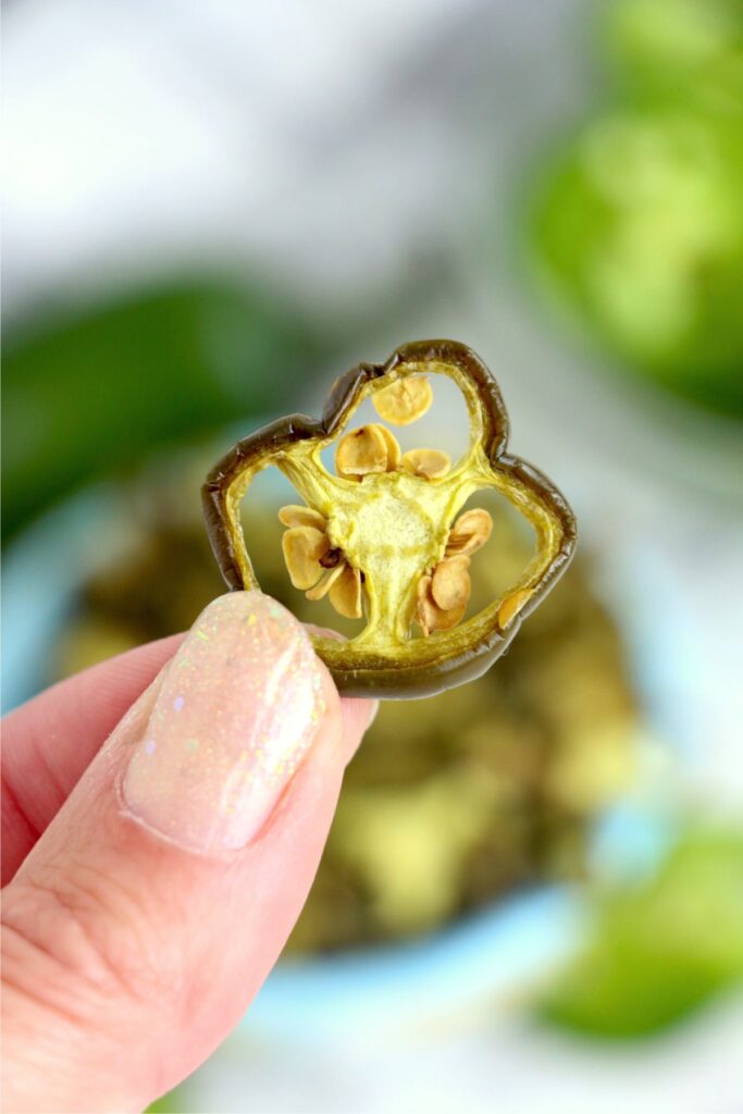 Closeup shot of hand holding a dried jalapeno slice