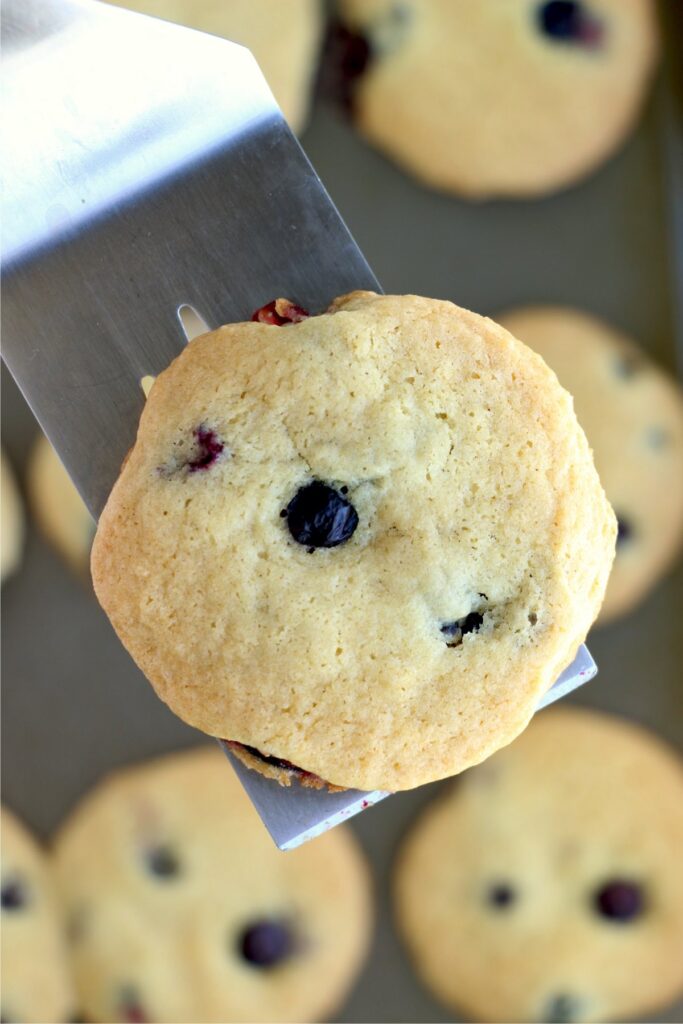 Closeup shot of lemon blueberry cookie on spatula