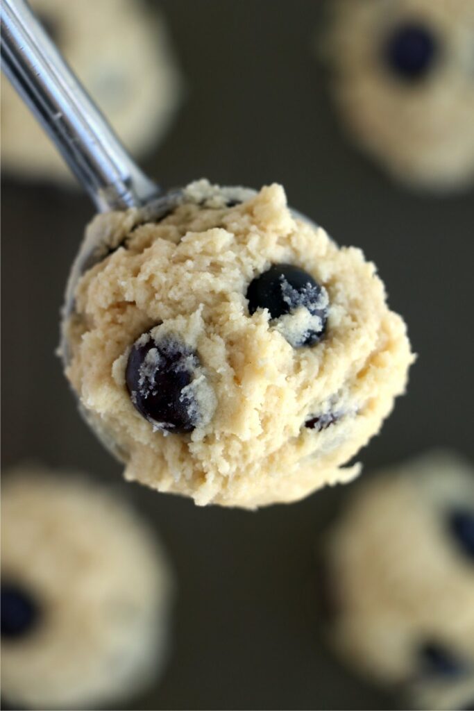 Closeup shot of cookie scoop filled with lemon blueberry cookie dough