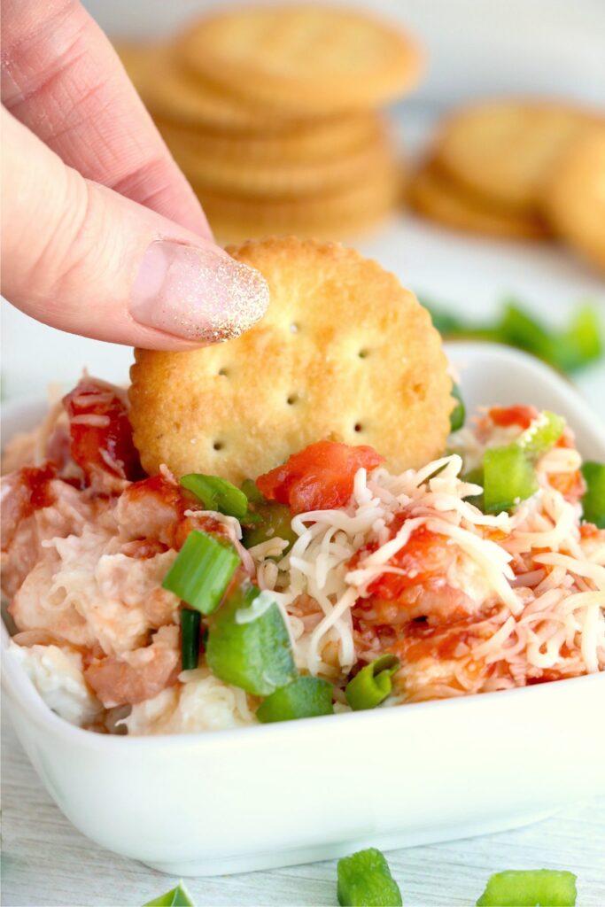 Closeup shot of cracker being dipped into bowl of seafood cheese dip