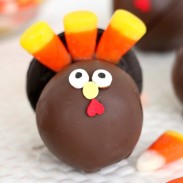 Turkey Cake Pops