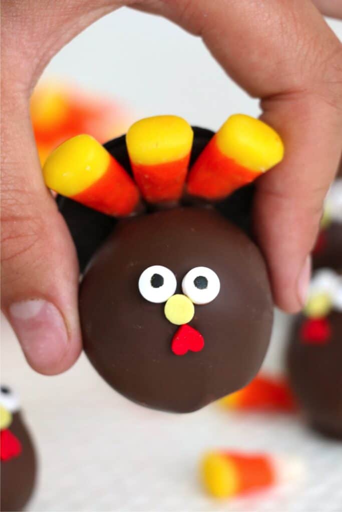 Closeup shot of hand holding a turkey cake pop