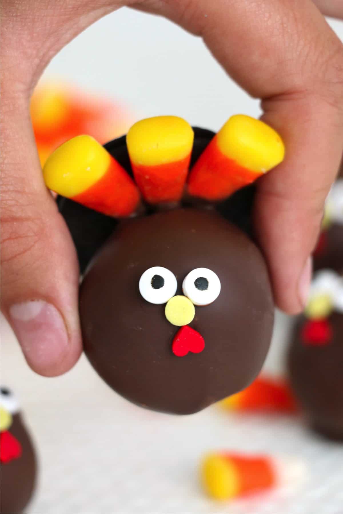 Thanksgiving Treats: How to Make Turkey Cake Pops